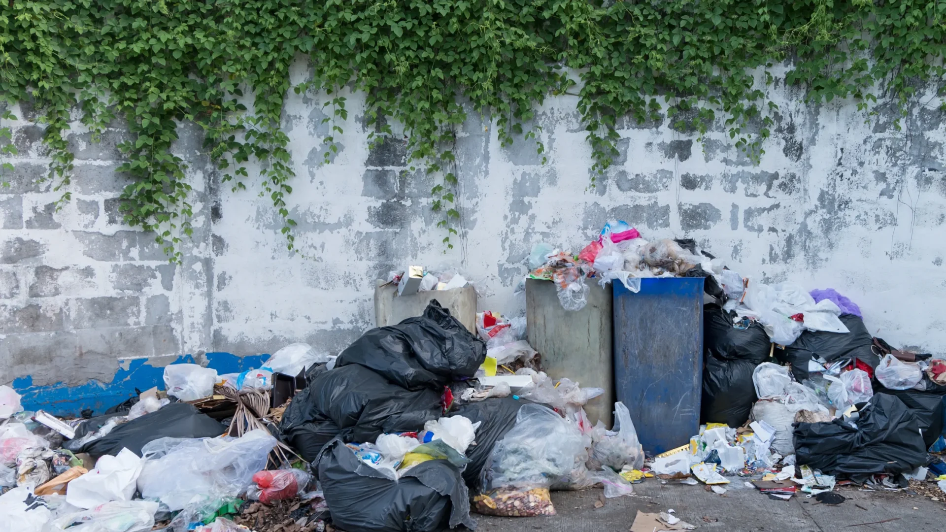 dumpsters-being-full-with-garbage-evening_converted